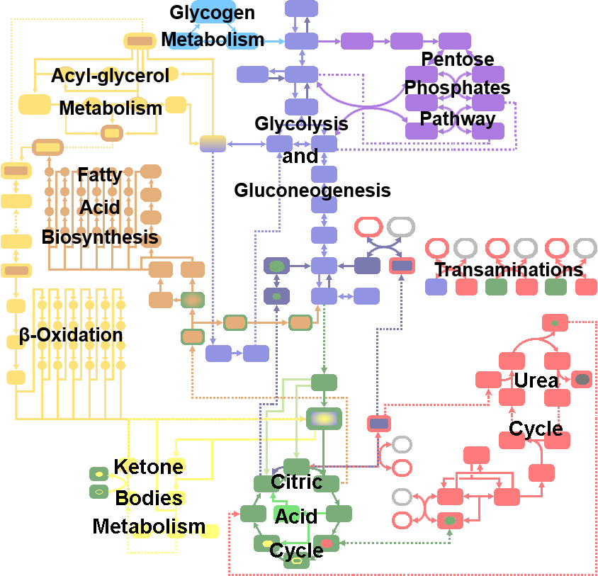 Nav Map Image